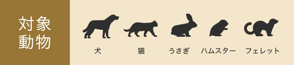 対象動物